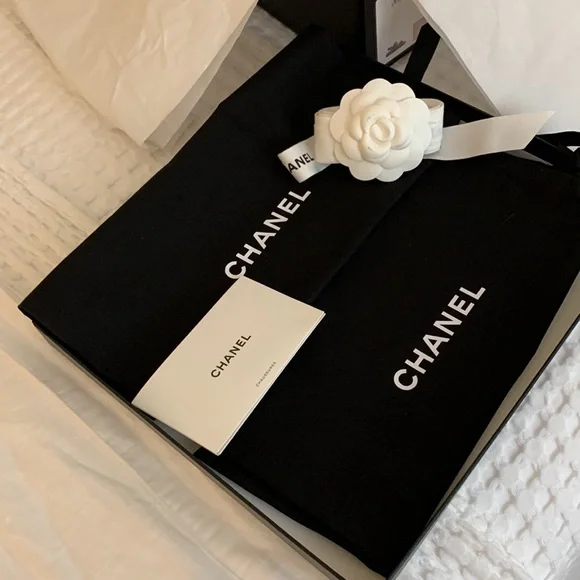 Chanel Dad Sandals Medallion Light Pink Calfskin Size 38.5 NWT - Picture 9 of 13